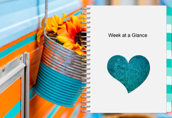 week-at-a-glance-teal